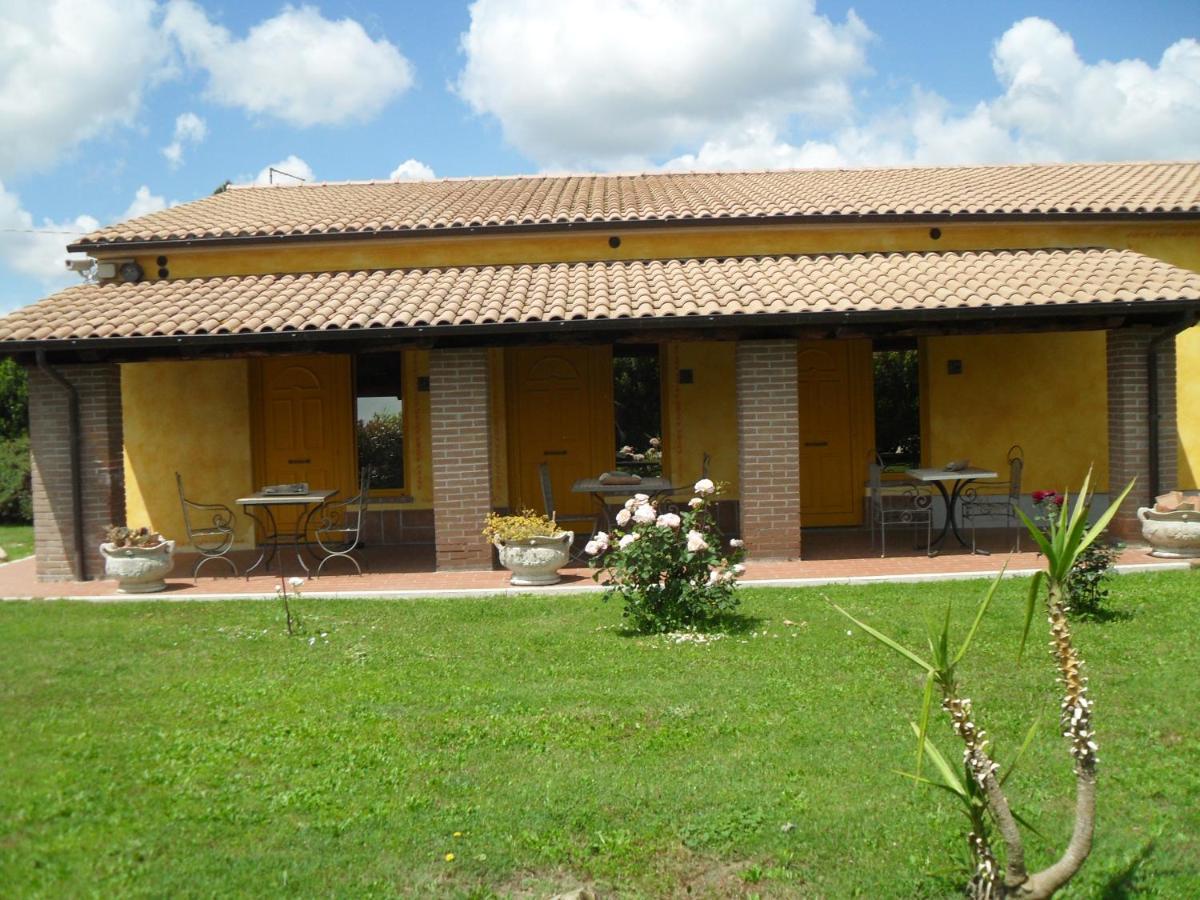 Agriturismo Il Prataccio Ischia di Castro 외부 사진